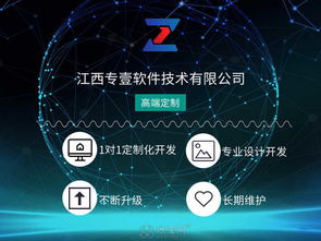 专业软件系统开发哪家好