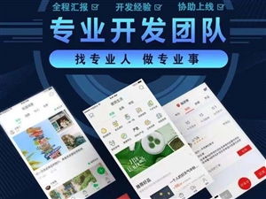 西平生活服务网 西平便民生活 西平在线