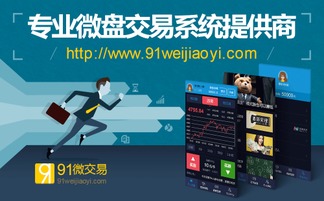 91微交易 全球领先的微交易软件定制开发服务商，赋能小程序开发创新