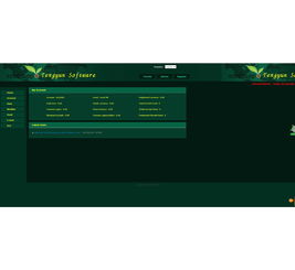 全方位企业数字化解决方案 直销软件、购物商城、官网定制与小程序开发