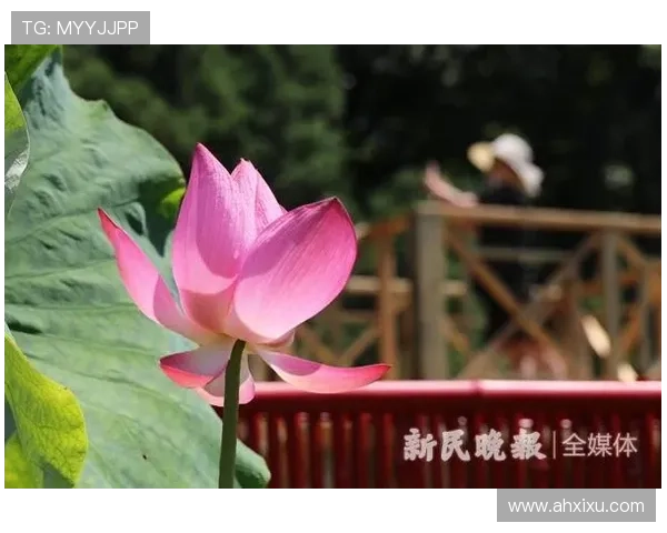 夏日心动，爱在盛夏绽放