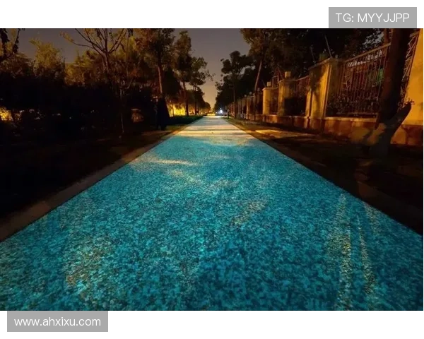 如此闪耀：点亮你生命中的每一个瞬间